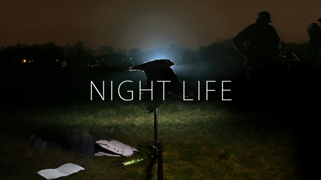 Night life Youtube thumbnail V2.jpg